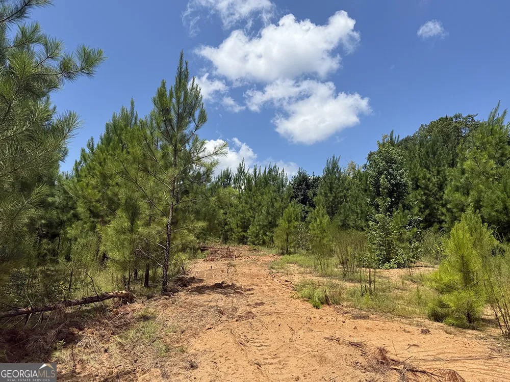 0 Fox Creek RD Preston, GA 31824