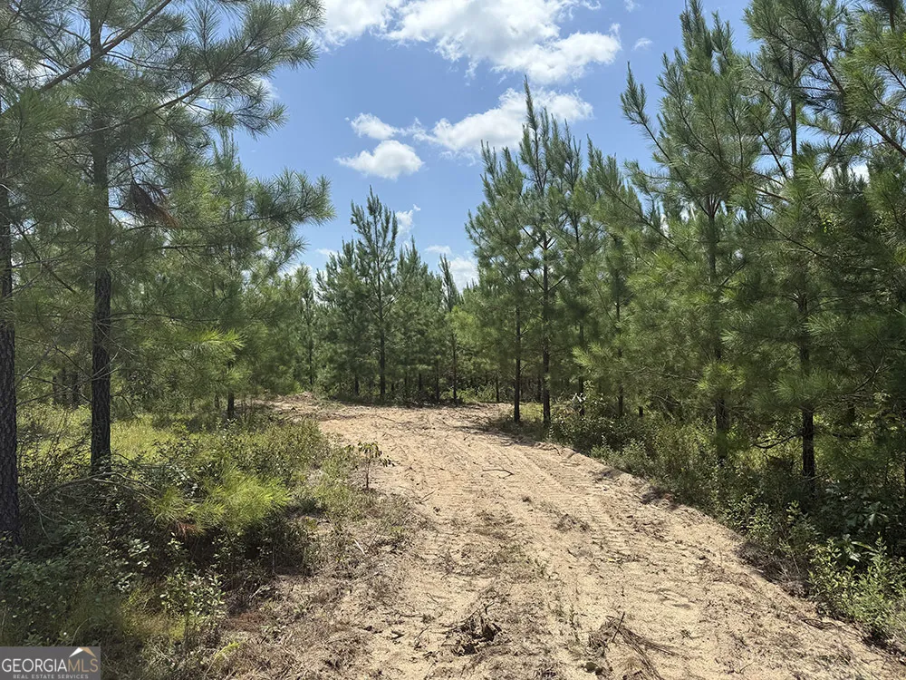 0 Fox Creek RD Preston, GA 31824