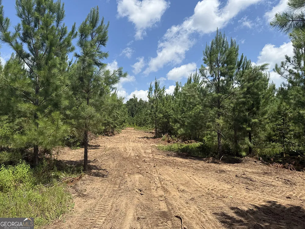 0 Fox Creek RD Preston, GA 31824