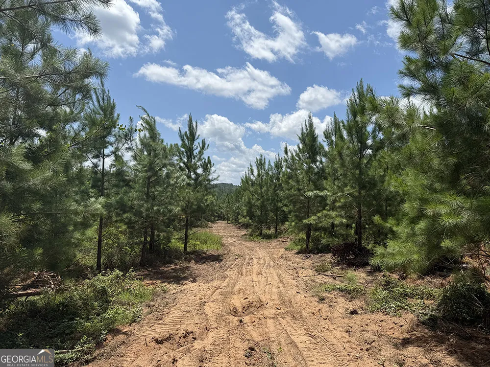0 Fox Creek RD Preston, GA 31824