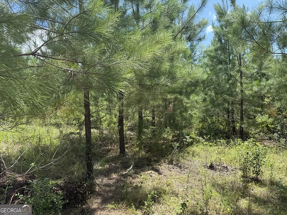 0 Fox Creek RD Preston, GA 31824
