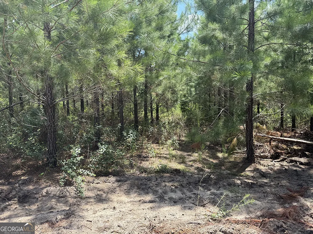 0 Fox Creek RD Preston, GA 31824
