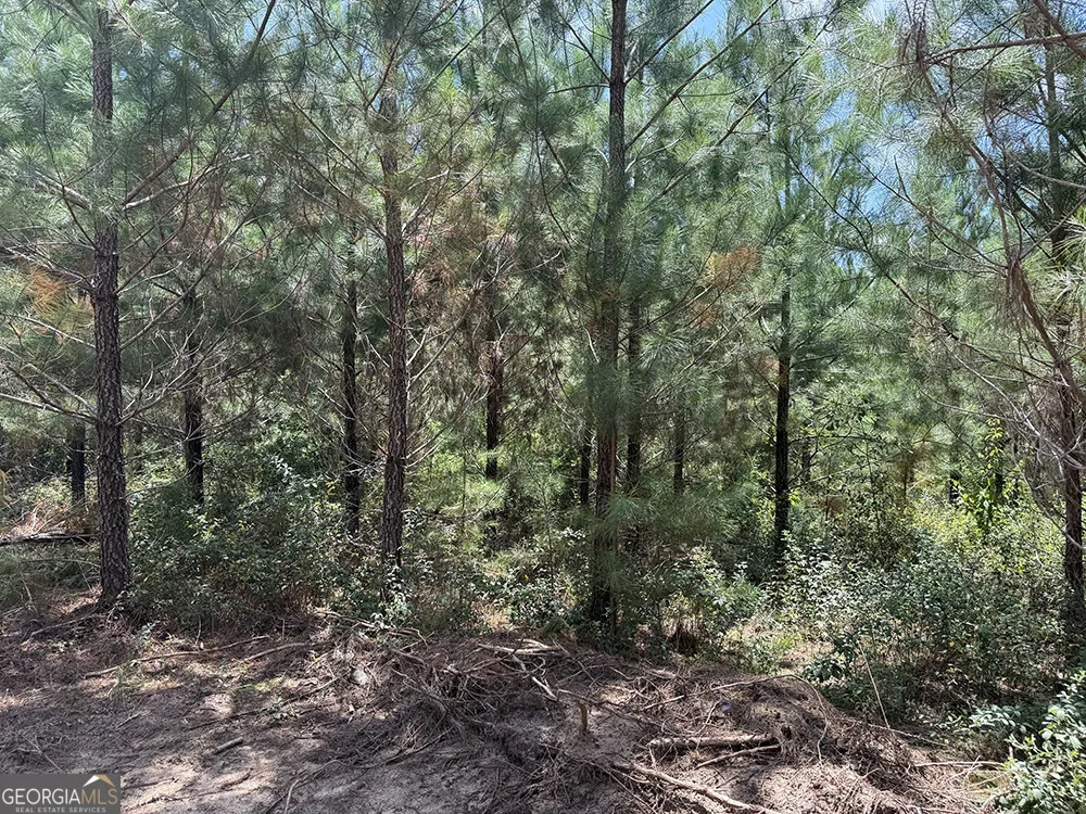 0 Fox Creek RD Preston, GA 31824