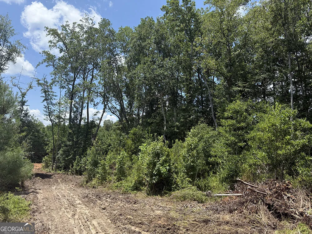 0 Fox Creek RD Preston, GA 31824