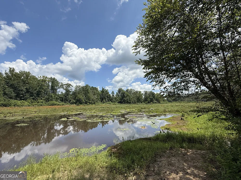 0 Fox Creek RD Preston, GA 31824