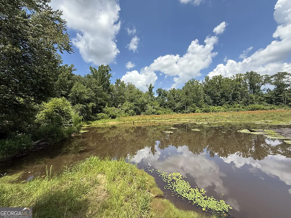 0 Fox Creek RD Preston, GA 31824