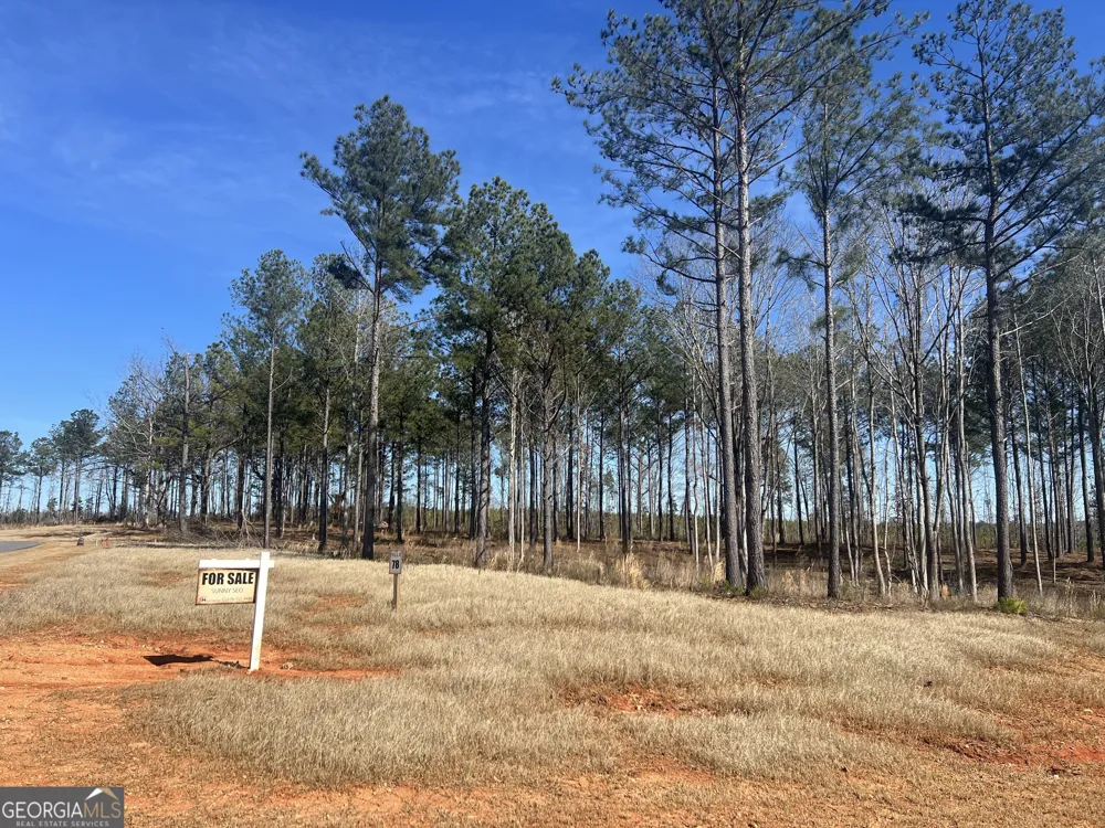 251 Chimney Rock TRL Milledgeville, GA 31061