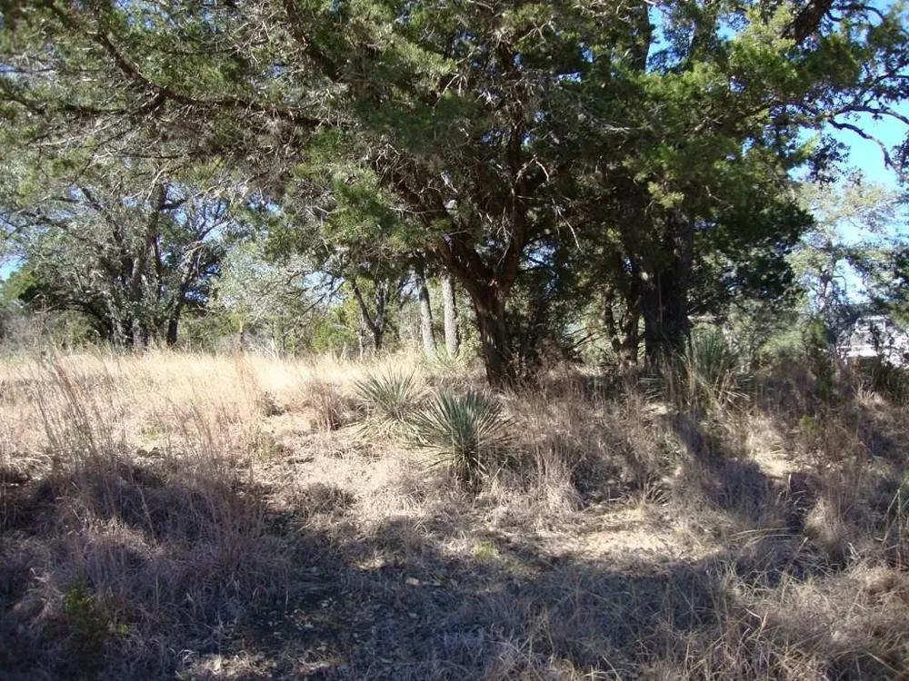 3705 Peninsular Drive Marble Falls, TX 78654