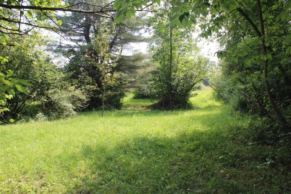 2838 W Trask Lake Rd Barton City, MI 48705