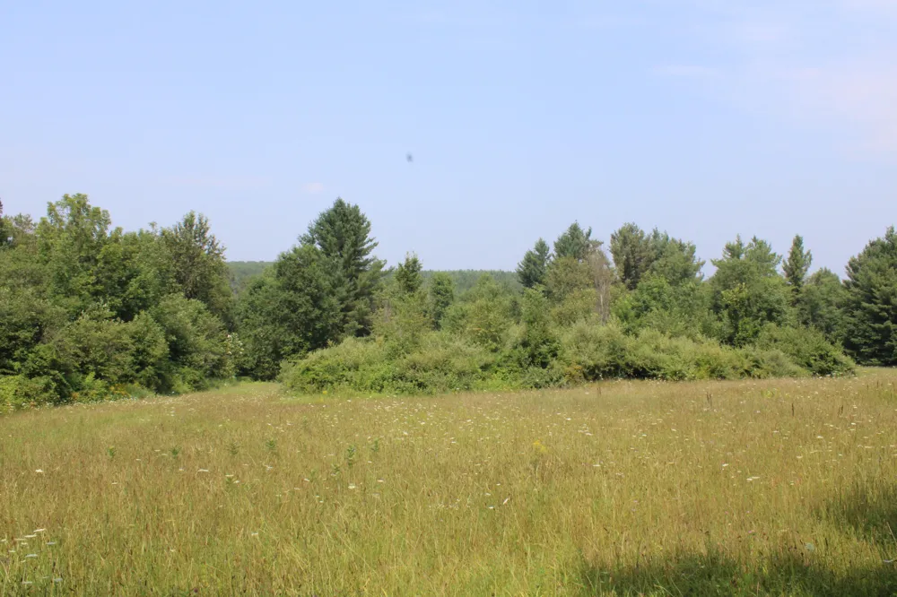2838 W Trask Lake Rd Barton City, MI 48705