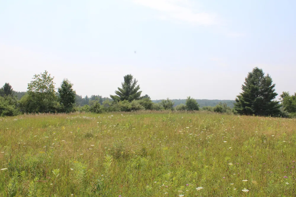 2838 W Trask Lake Rd Barton City, MI 48705