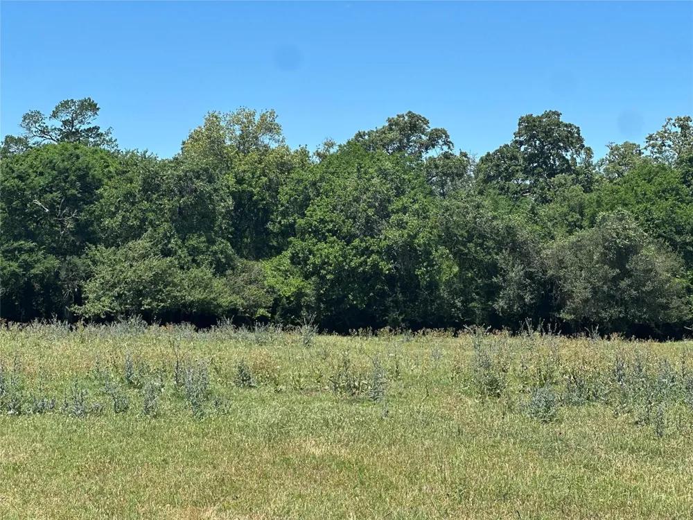 1200 Steamboat Run Bryan, TX 77807
