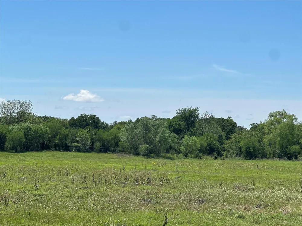 1200 Steamboat Run Bryan, TX 77807