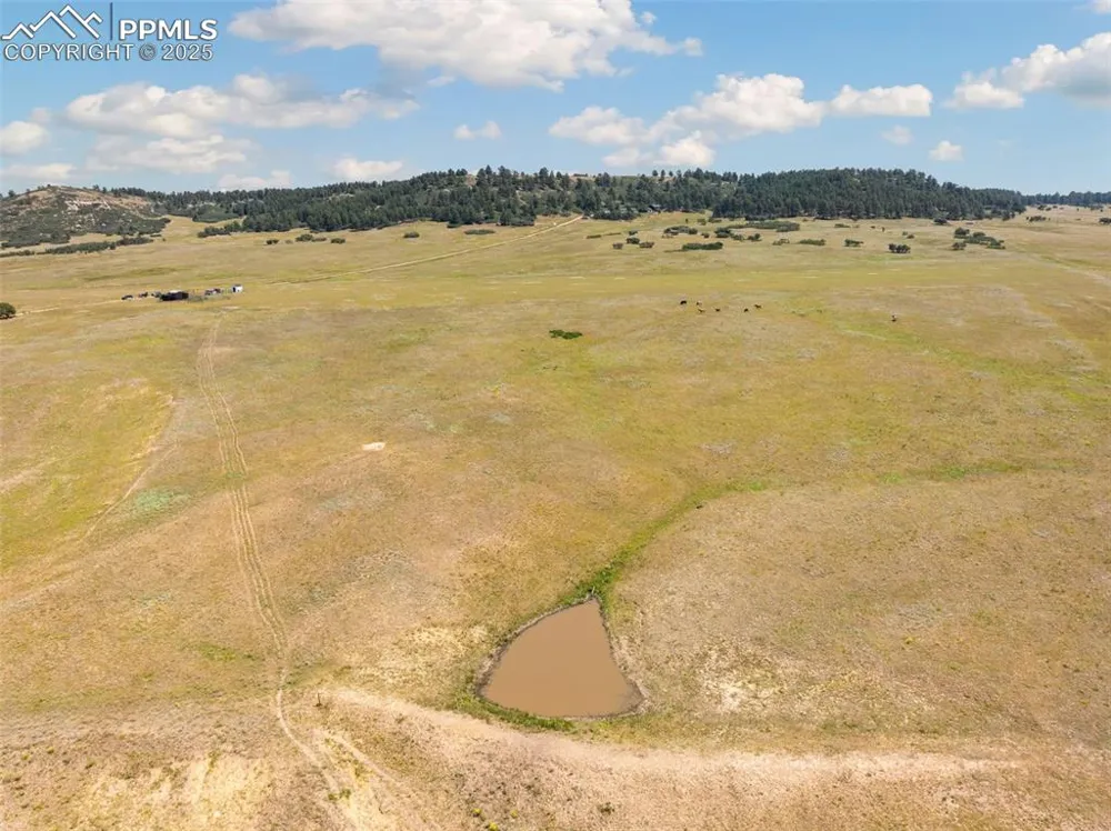 14252 S Highway 83 Larkspur, CO 80118