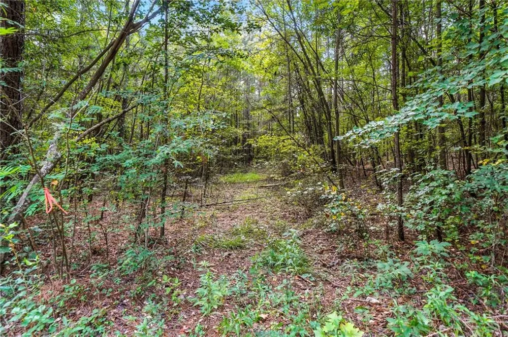 00 Sleepy Hollow Drive Powder Springs, GA 30127