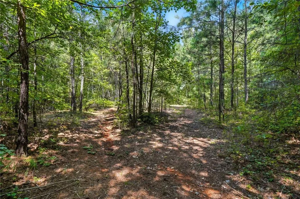 00 Sleepy Hollow Drive Powder Springs, GA 30127