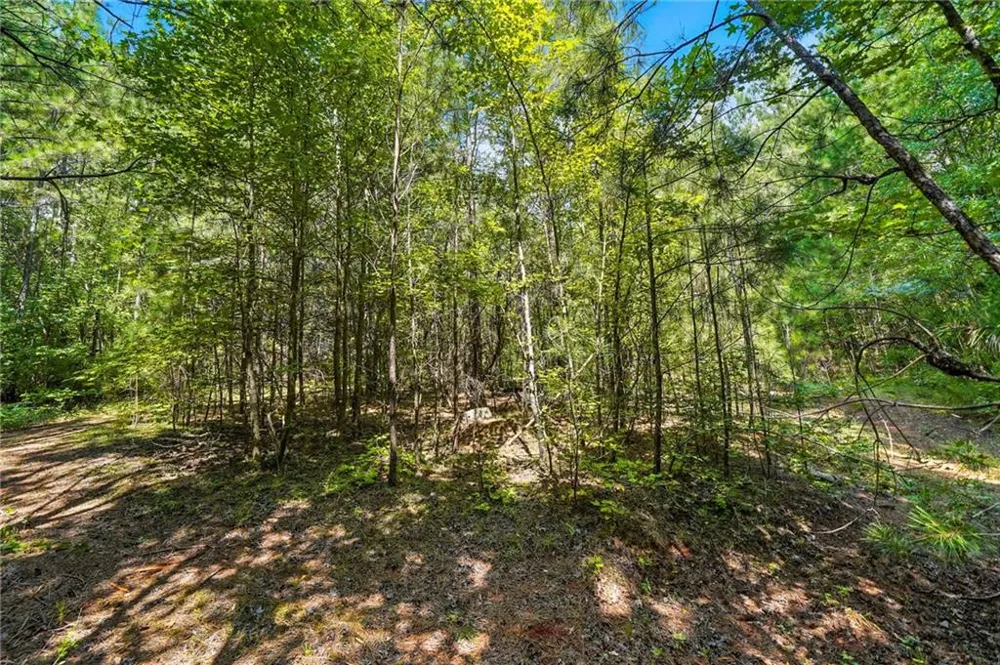 00 Sleepy Hollow Drive Powder Springs, GA 30127