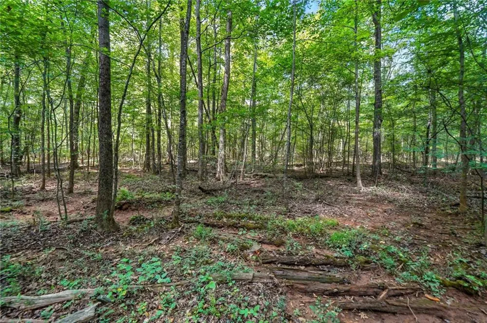 00 Sleepy Hollow Drive Powder Springs, GA 30127