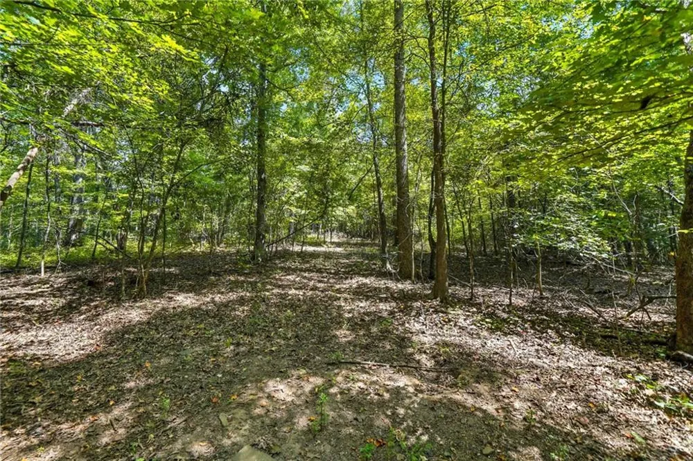 00 Sleepy Hollow Drive Powder Springs, GA 30127