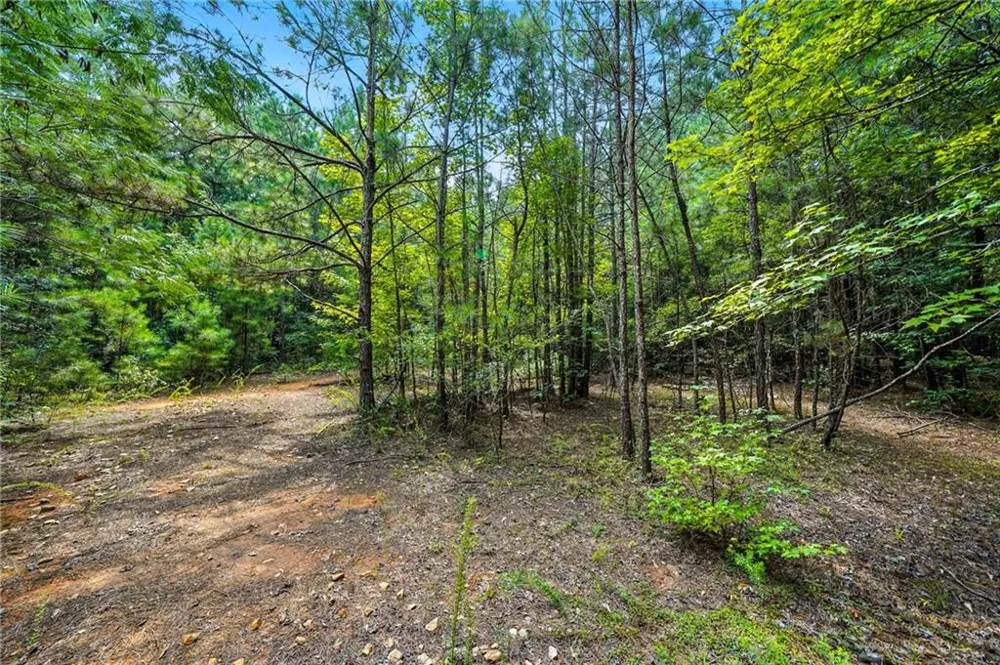 00 Sleepy Hollow Drive Powder Springs, GA 30127