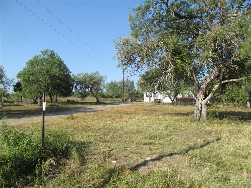 316 CR 175 Sandia, TX 78383