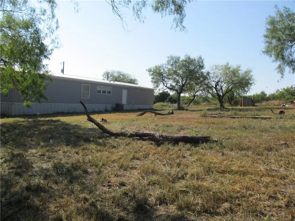 316 CR 175 Sandia, TX 78383