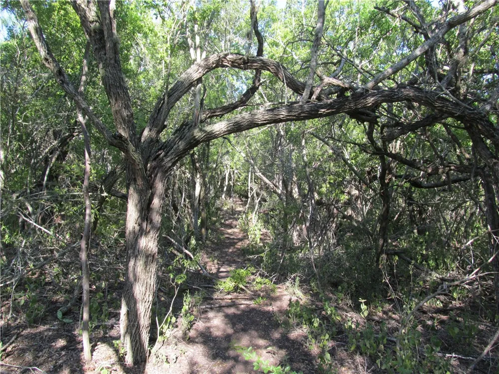 316 CR 175 Sandia, TX 78383