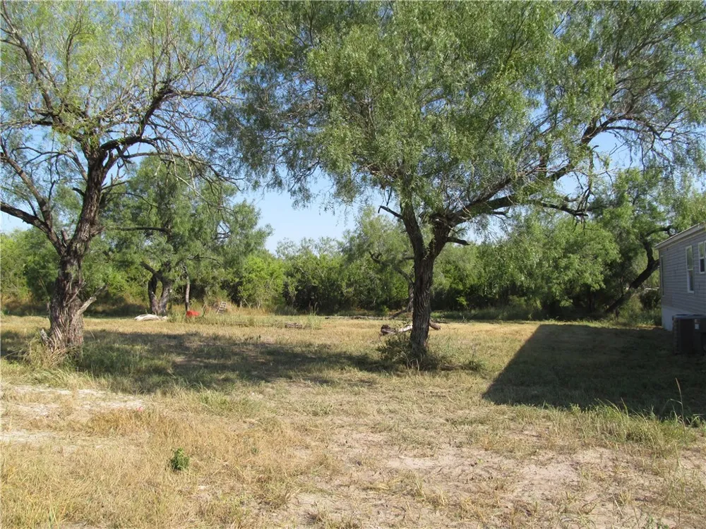 316 CR 175 Sandia, TX 78383