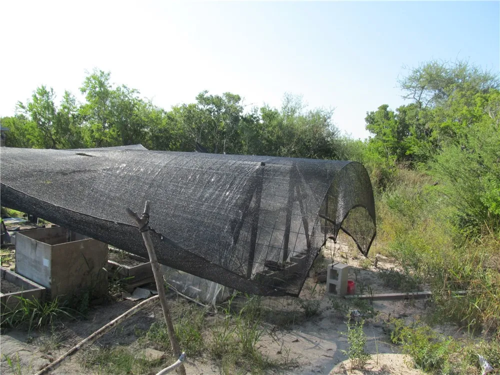 316 CR 175 Sandia, TX 78383