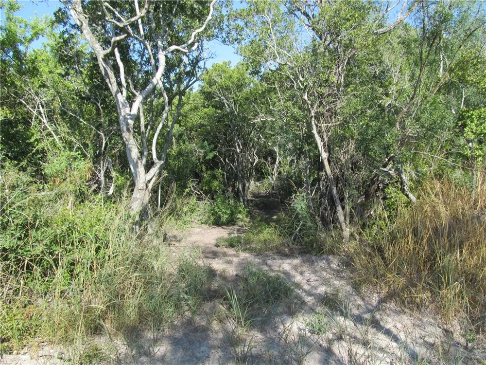 316 CR 175 Sandia, TX 78383