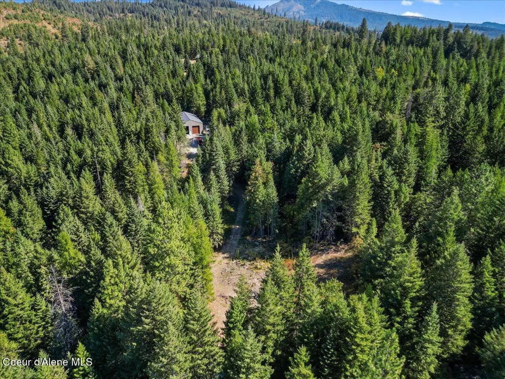 662 Homestead Hollow Road Careywood, ID 83809