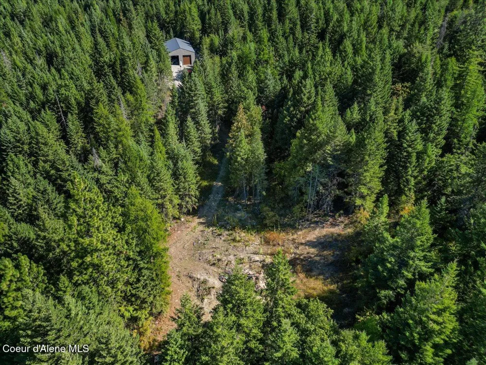662 Homestead Hollow Road Careywood, ID 83809