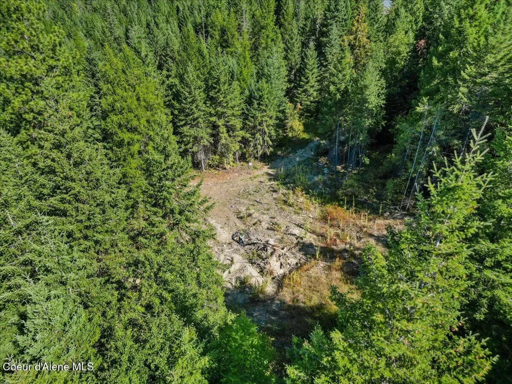 662 Homestead Hollow Road Careywood, ID 83809