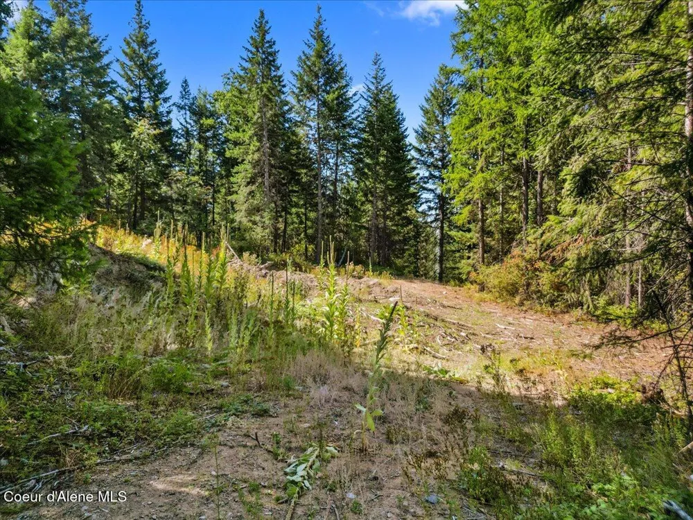 662 Homestead Hollow Road Careywood, ID 83809