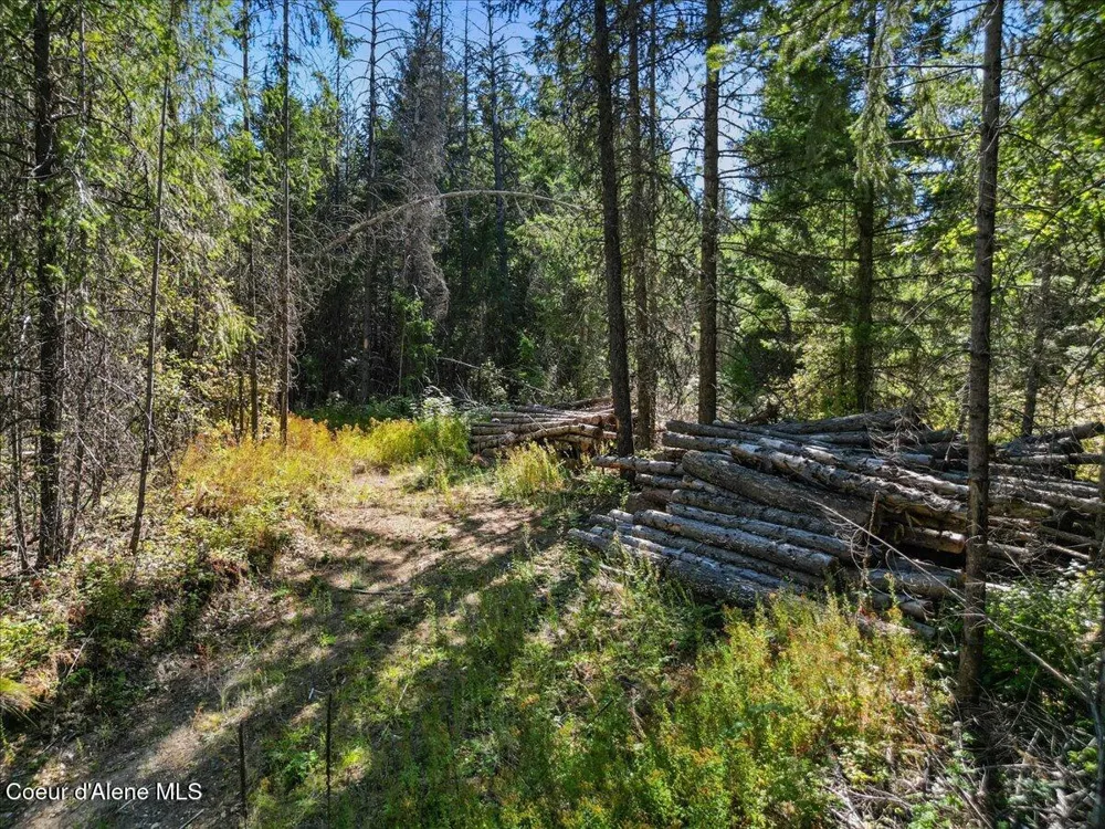 662 Homestead Hollow Road Careywood, ID 83809