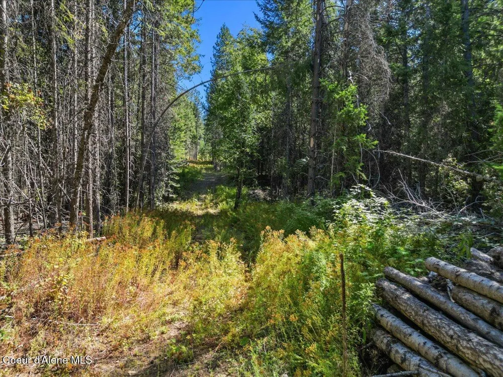 662 Homestead Hollow Road Careywood, ID 83809