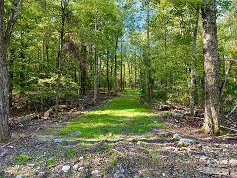 Mt Prosper Road