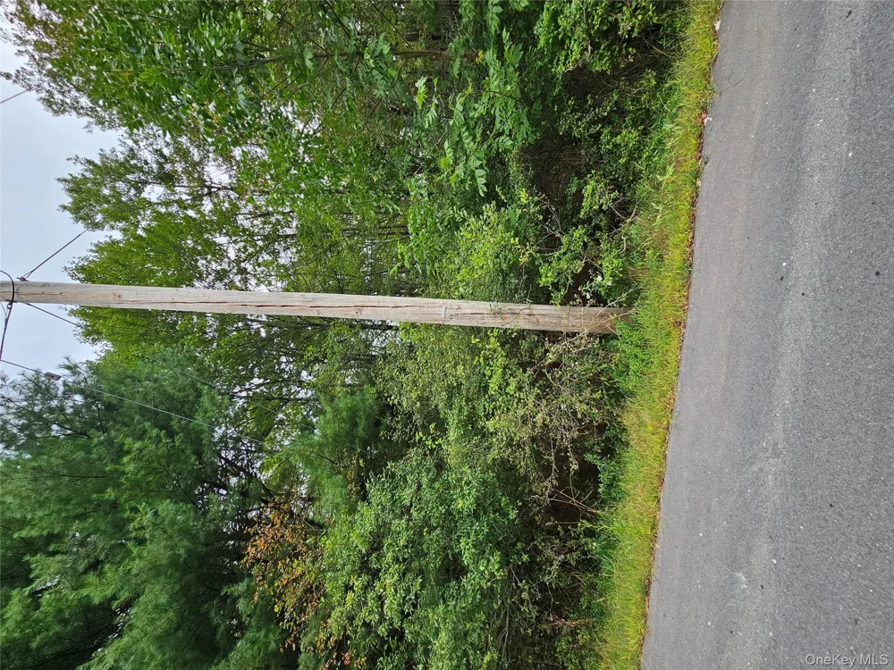 Flower Ave. & State Route 55 Kauneonga Lake, NY 12720