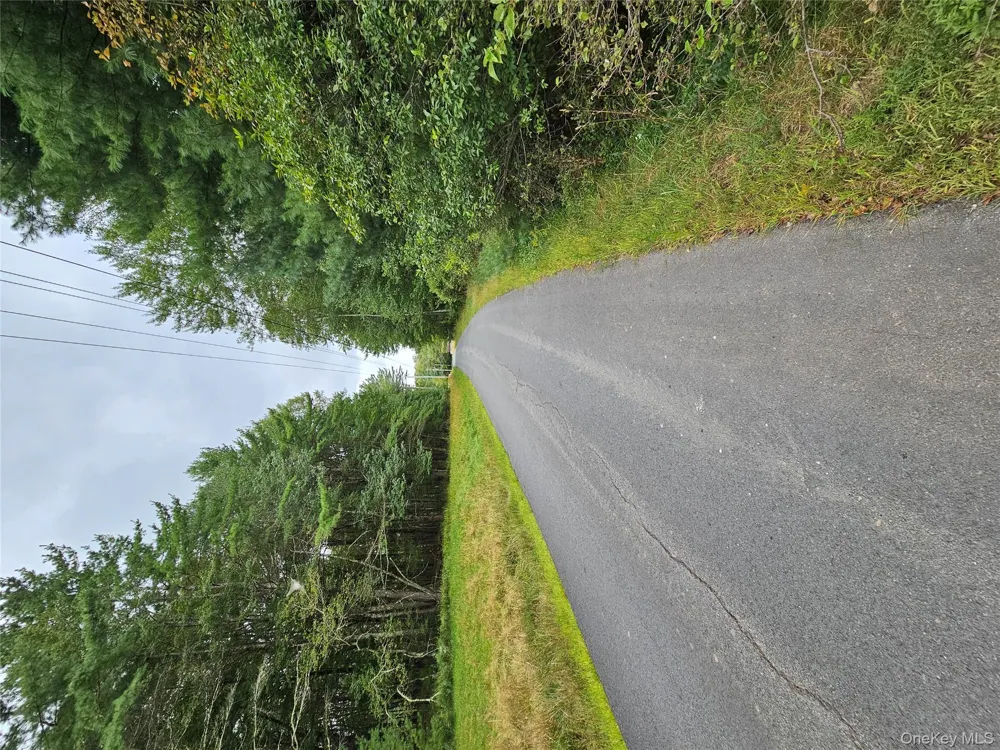 Flower Ave. & State Route 55 Kauneonga Lake, NY 12720