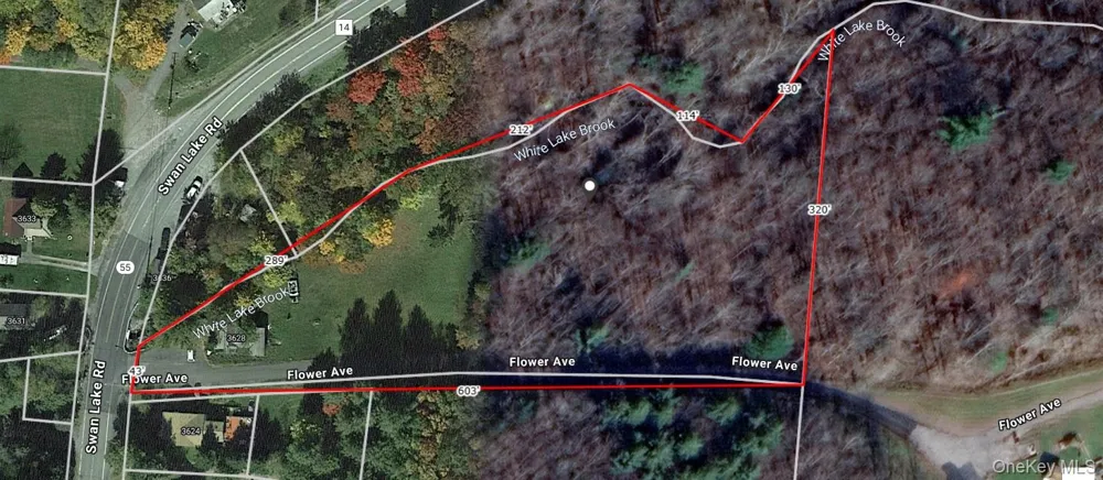 Flower Ave. & State Route 55 Kauneonga Lake, NY 12720
