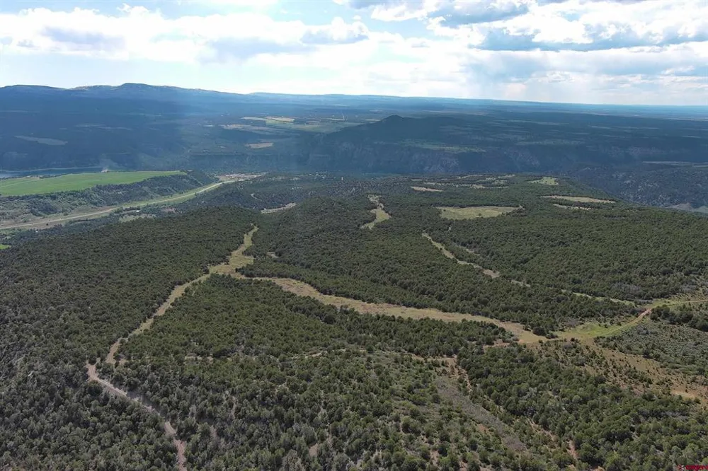 County Road 4 Ridgway, CO 81432