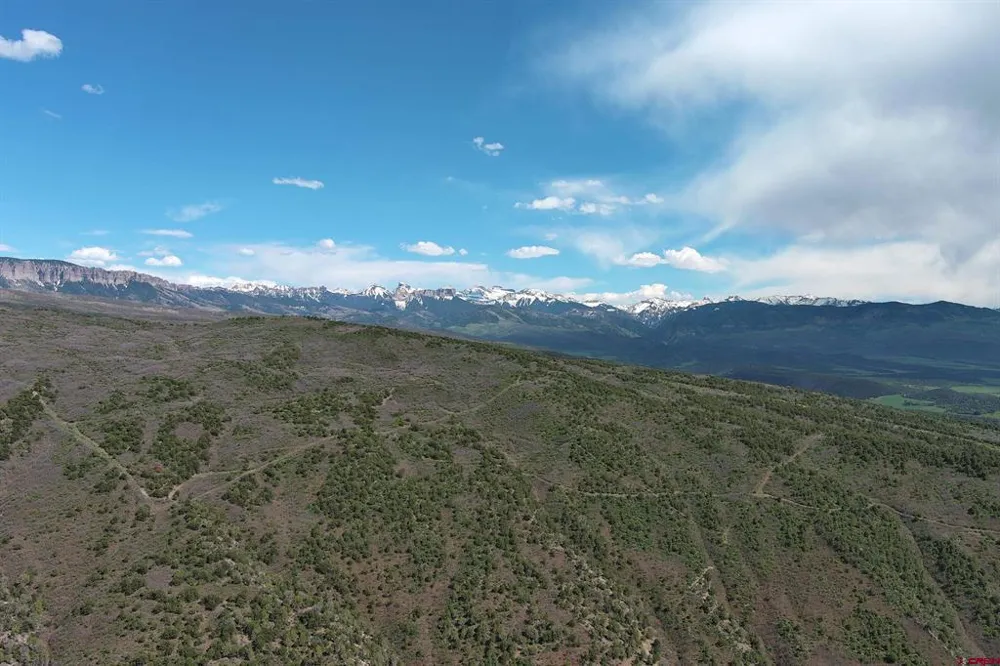 County Road 4 Ridgway, CO 81432