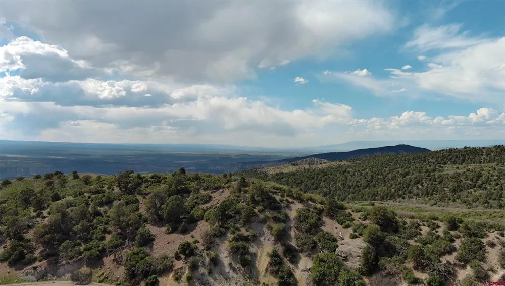 County Road 4 Ridgway, CO 81432