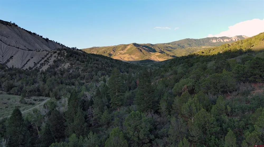 County Road 4 Ridgway, CO 81432