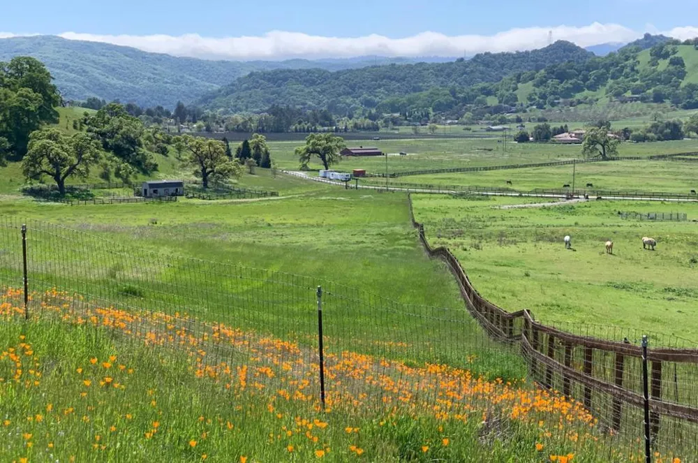 Hayes Lane San Martin, CA 95046