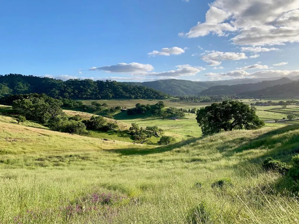 Hayes Lane San Martin, CA 95046
