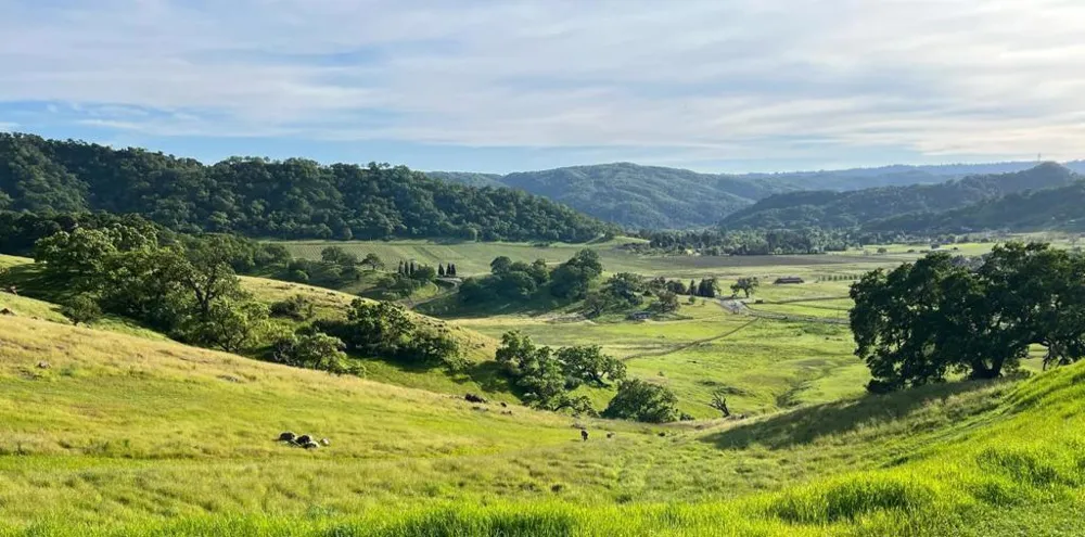 Hayes Lane San Martin, CA 95046
