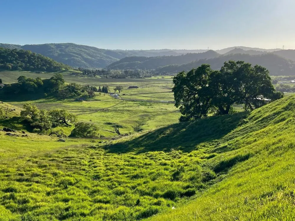 Hayes Lane San Martin, CA 95046