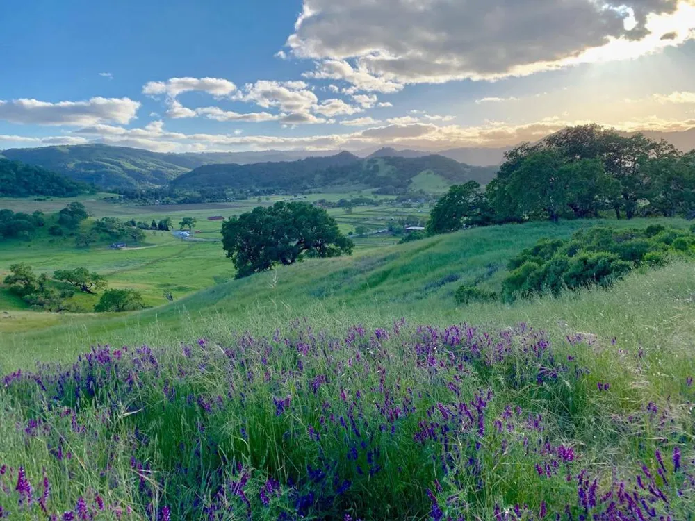 Hayes Lane San Martin, CA 95046