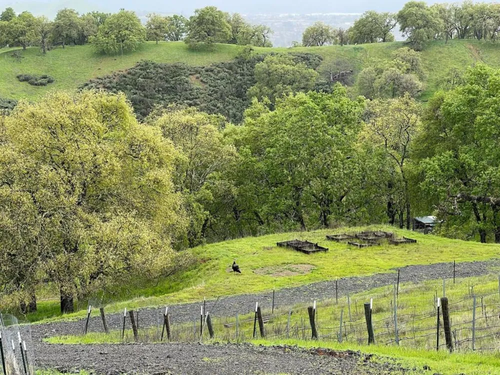 Hayes Lane San Martin, CA 95046